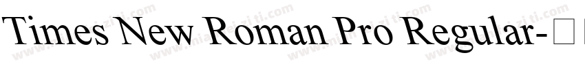 Times New Roman Pro Regular字体转换